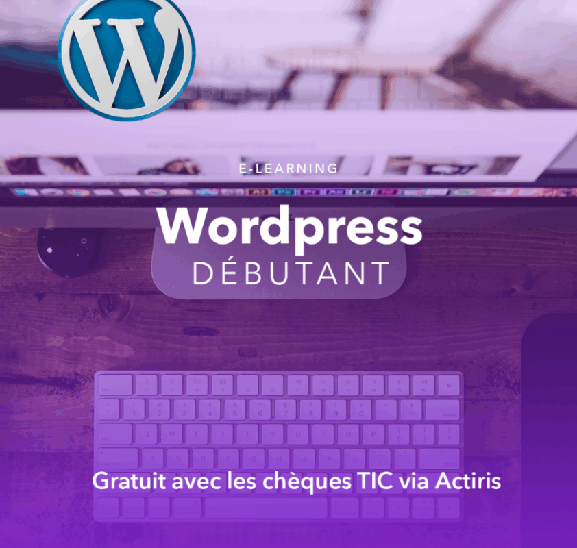 wordpress-debutant-2021-873x1024 wordpress-debutant-2021-873x1024